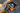 The Howl R3   Carry Bag