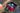The Howl R3   Carry Bag
